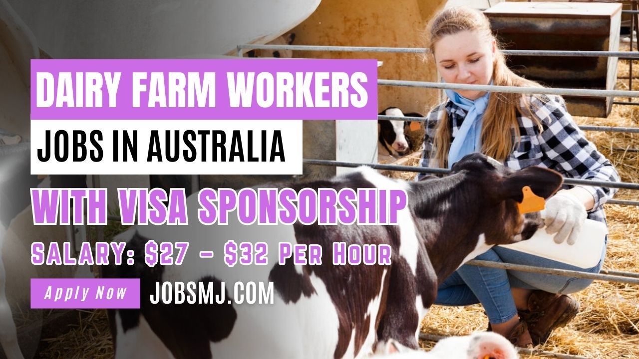 Dairy Farm Worker Jobs in Australia